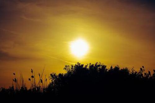 开发40多款App专盯中老年单身男性 特大网络交友诈骗团伙被PG电子官方网站 - 最新老虎机游戏入口__注册即送体验金一举“团灭”